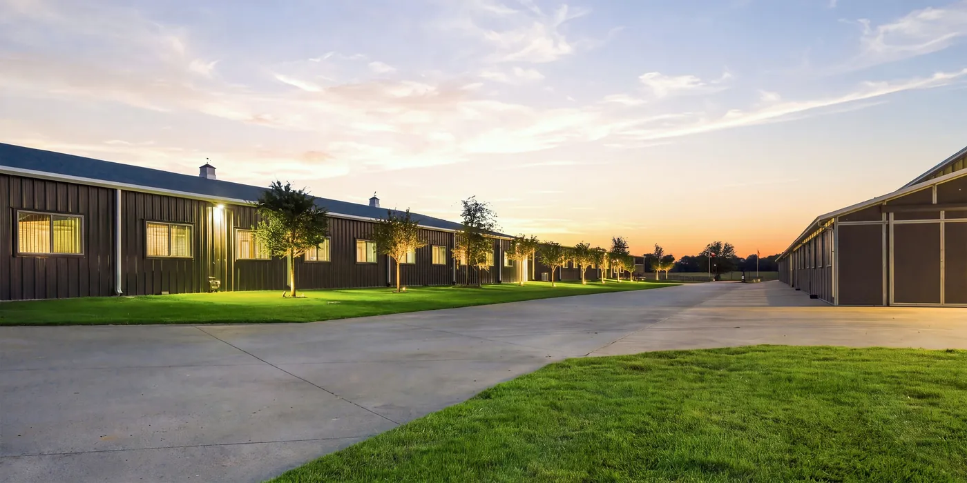 The barns at sunset, with young trees and lawn along a wide concrete drive.