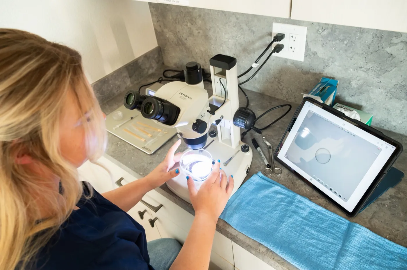 A member of the Franklin Farm team examining a dish under a stereo microscope in the reproduction lab, with the magnified view displayed on a tablet alongside.