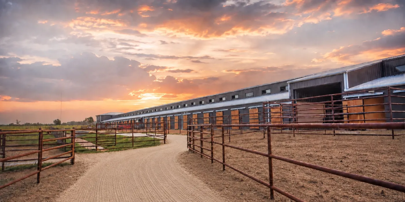 The main barn at sunset, with a raked gravel path leading past pipe-fenced runs.