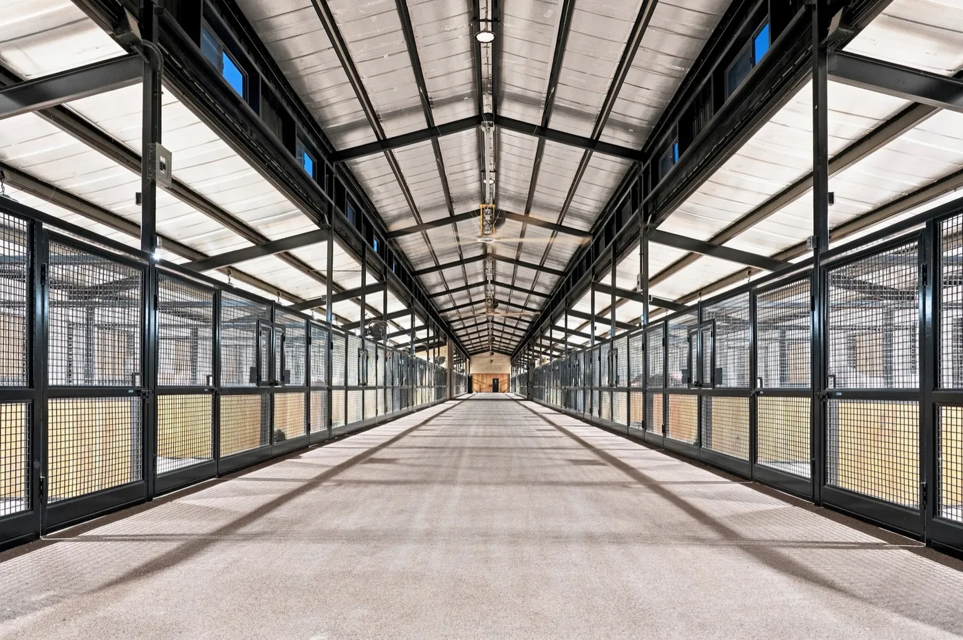 The center aisle of the mare barn, with mesh-fronted stalls on both sides.