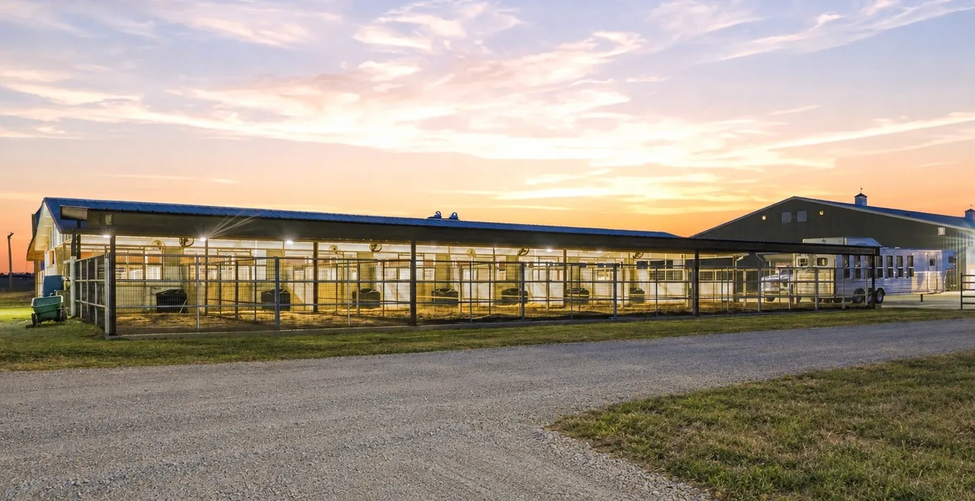 The covered mare motel at dusk, a long row of lit runs beside the paddocks.