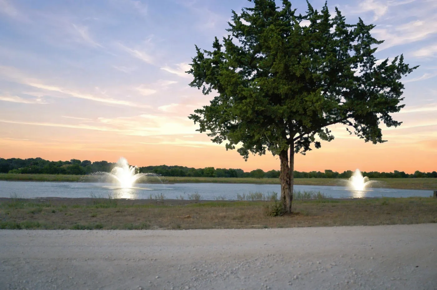 A pond at sunset, with two fountains playing and a lone cedar on the bank.